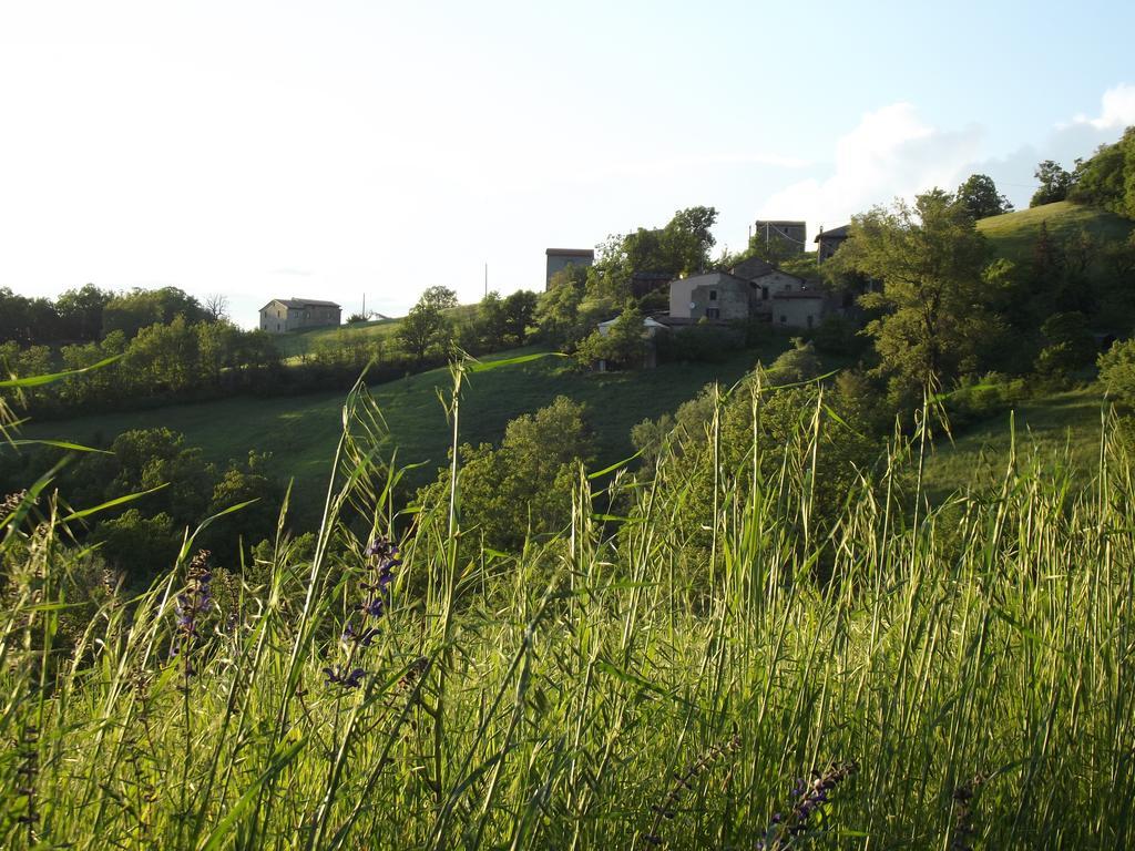 Villa La Ciastra Ed San Michel à Terenzo Extérieur photo