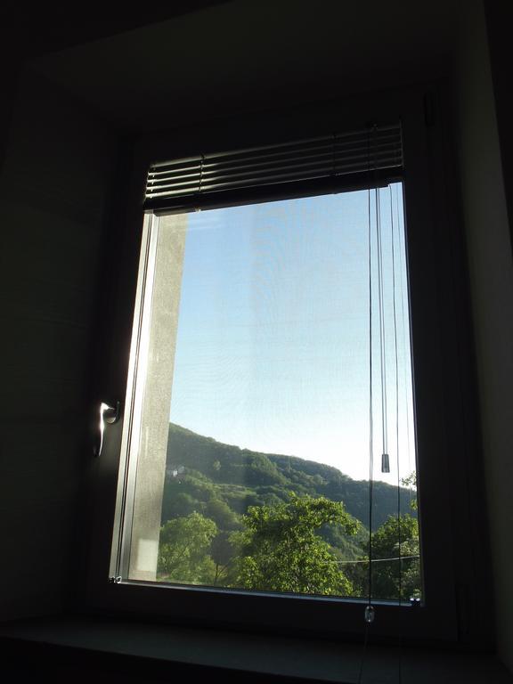 Villa La Ciastra Ed San Michel à Terenzo Chambre photo
